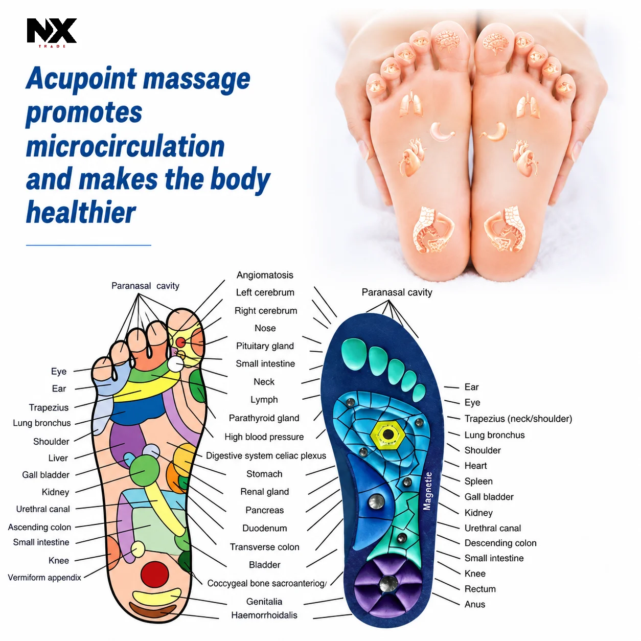 Premium Magnetic Acupressure Massage Insoles - Image 6